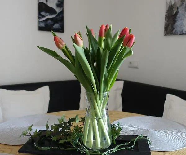 Hofstaetter Apartament Fliess