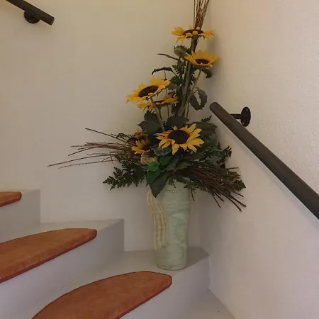 Hofstaetter
